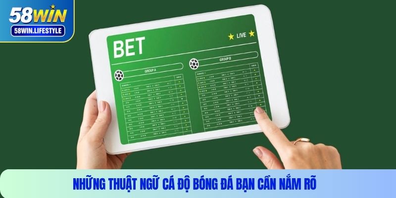 Những thuật ngữ cá độ bóng đá bạn cần nắm rõ 